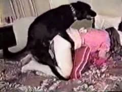 In this movie scene, a brunette college student had sex with a mongrel and became a zoophiliac.